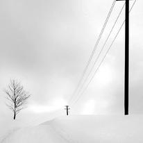 hidden winter