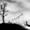 fenceline