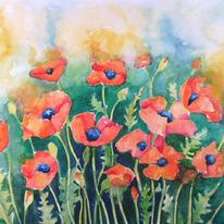 Wild Poppies