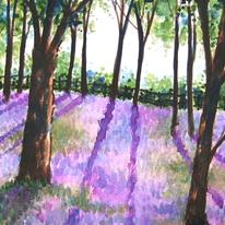 hidden Bluebell Wood