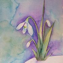 hidden Snowdrop