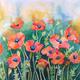 Wild Poppies