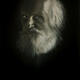 Wisdom | (sold) | 35 x 57cm | Oil on canvas Wisdom