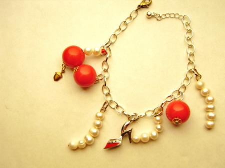 the red shoe diaries charm bracelet