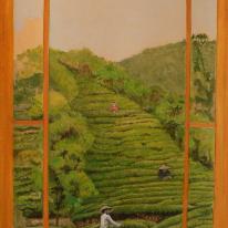 Les Cueilleuses de Thé - Tea Plucking