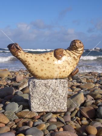 Seal Balance on Beach