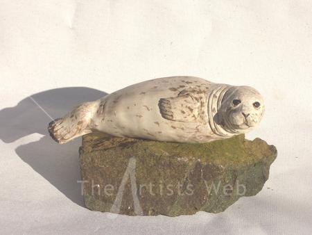 Seal Pup