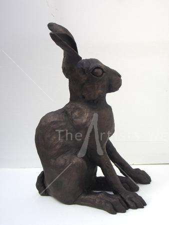 Hare Sitting