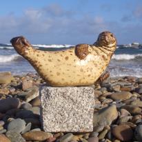 Seal Balance on Beach