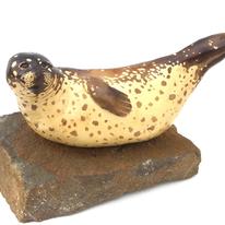 Seal Basking
