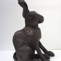 Hare Sitting