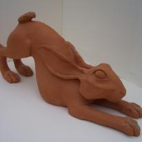 hare