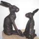 Big Hare and Little…