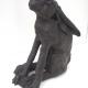 Hare Gazing