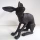 Young Hare II