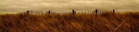 Dunes Fence