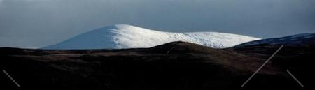 cheviots snow