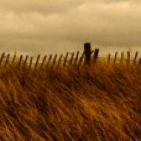 Dunes Fence