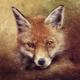 fox 1