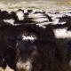 cowscape-ll