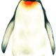 Penguin 1
