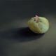Potato With Triangle