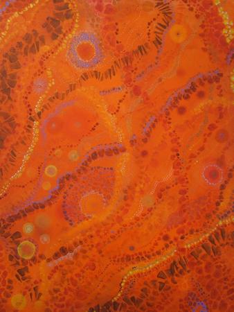 NUMINOUS STUDY