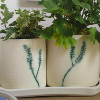 planter