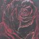 Black Red Rose