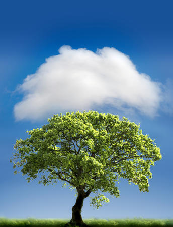 Cloud Cover