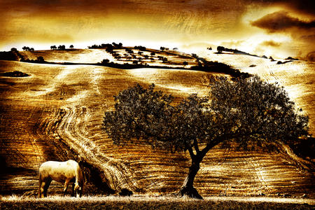 Textured Landscape