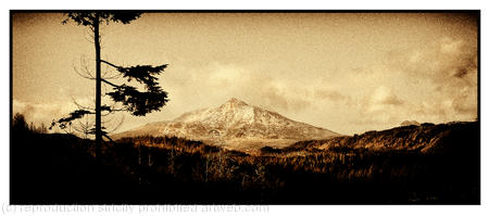moel siabod