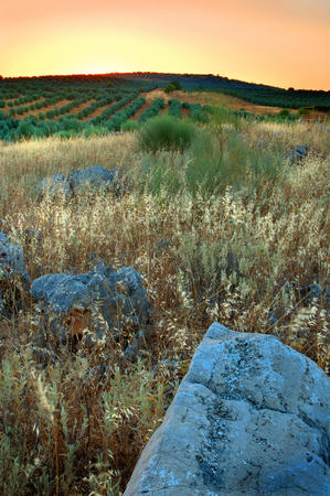 Andalucian Blue Stone