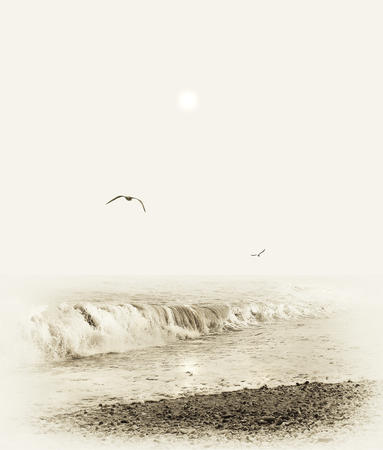 Surfing