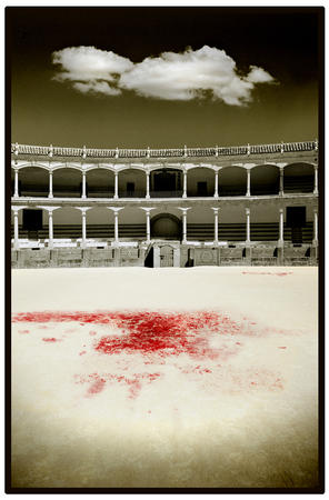 Bloodsports
