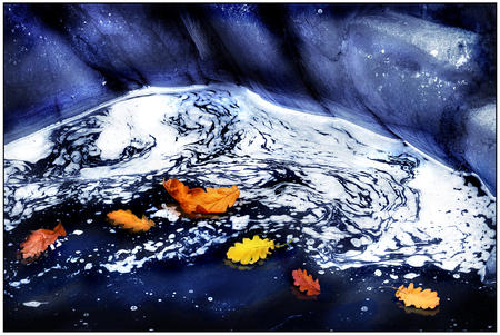 Fall Flotilla