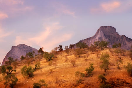 Olive Mountains