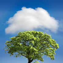 Cloud Cover