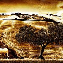 Textured Landscape