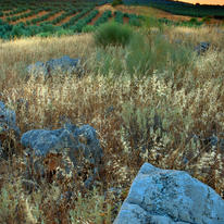 Andalucian Blue Stone