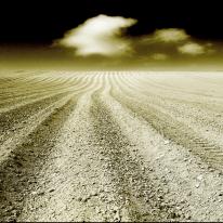 Ploughed