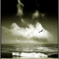 Welsh Surf
