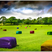 Multicolored Bale Fantasy