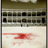 Bloodsports