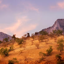 Olive Mountains