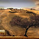 Rural Spain View