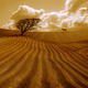 The Ploughed Field