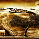Textured Landscape