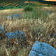 Andalucian Blue Stone