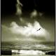 Welsh Surf